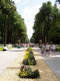 Вид в направлении на юг с места
пересечения аллеи фонтанов и главной
аллеи парка.