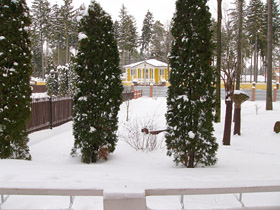 Некоторую торжественность придают саду
стройные туи, которые хороши как на фоне
изумрудного газона, так и среди
белоснежных снегов.