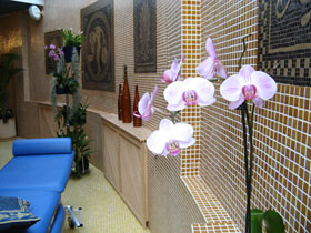 Важным элементом озеленения бассейна
является орхидея фаленопсис с крупными
декоративными цветками, которую мы видим
на переднем плане.