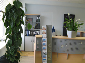 Оформление горшечными растениями входной
зоны офиса.
